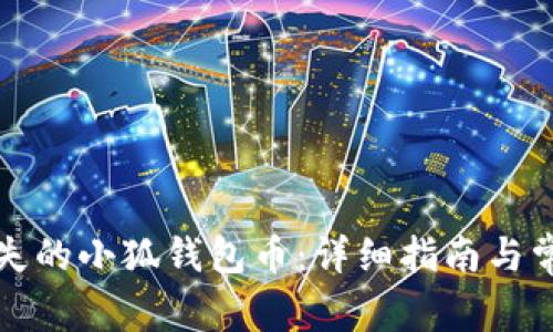 如何找回丢失的小狐钱包币:详细指南与常见问题解析