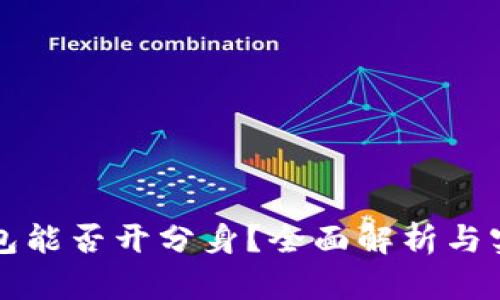 小狐钱包能否开分身?全面解析与实用指南
