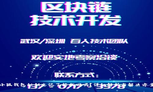 小狐钱包秘钥忘记了能找回吗?详细解析与解决方案