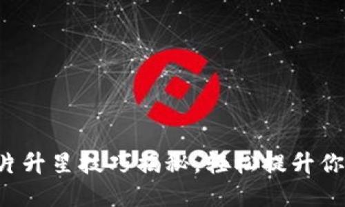 小狐钱包卡片升星技巧揭秘,轻松提升你的卡片等级!