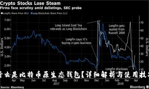 什么是比特币原生态钱包？详细解析与使用技巧