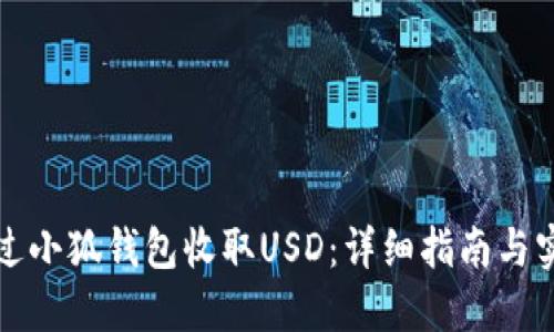 如何通过小狐钱包收取USD：详细指南与实用技巧