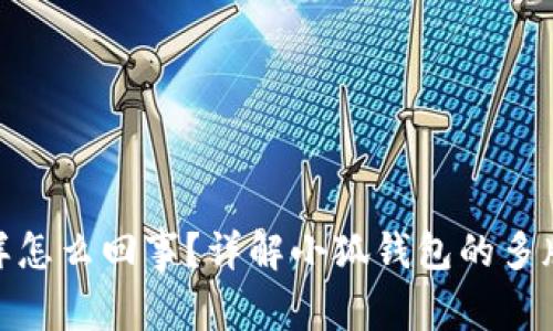 小狐钱包版本不一样怎么回事？详解小狐钱包的多版本特点与用户体验