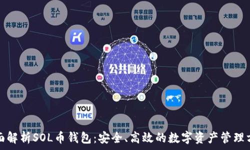 全面解析SOL币钱包:安全、高效的数字资产管理方案