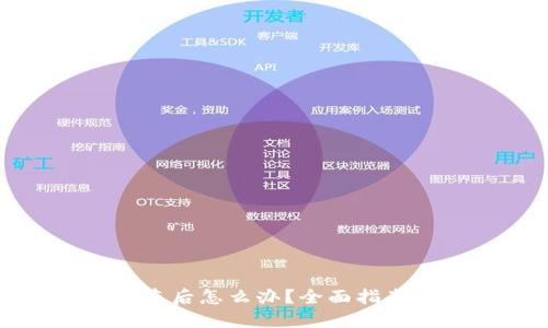 虚拟钱包被盗后怎么办?全面指南与应对措施