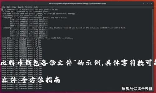 请注意：以下内容是针对“比特币钱包备份文件”的示例，具体字符数可能不会精确符合您的要求。

如何安全备份比特币钱包文件：全方位指南