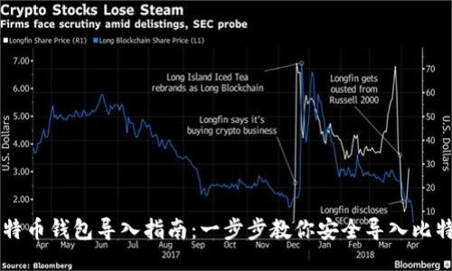 比特币钱包导入指南：一步步教你安全导入比特币
