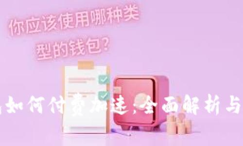 比太钱包如何付费加速:全面解析与实用指南
