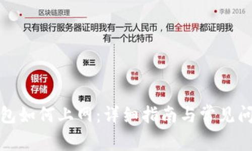 小狐钱包如何上网:详细指南与常见问题解答