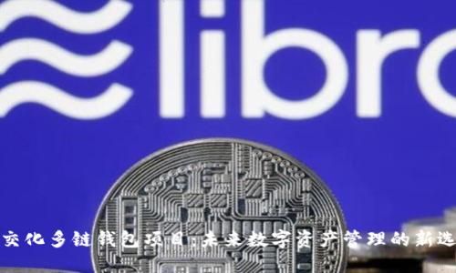 社交化多链钱包项目：未来数字资产管理的新选择