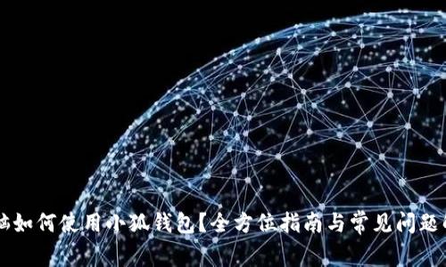 电脑如何使用小狐钱包?全方位指南与常见问题解析