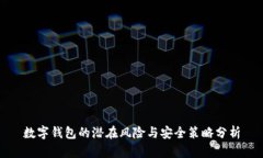 数字钱包的潜在风险与安全策略分析