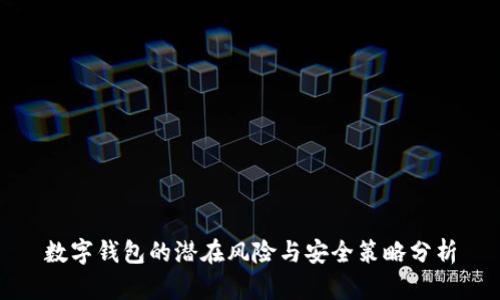 数字钱包的潜在风险与安全策略分析