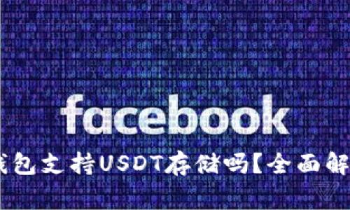 Ledger硬件钱包支持USDT存储吗？全面解析与使用指南
