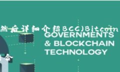 为了满足您的需求，我将为您提供一个