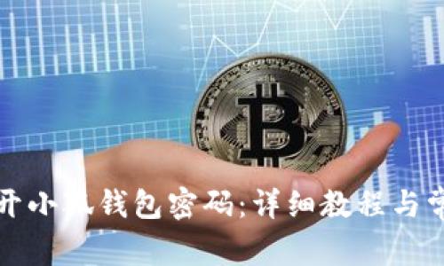 如何安全打开小狐钱包密码:详细教程与常见问题解答