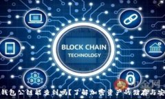   冷钱包公链能查到吗？了解加密资产