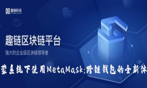 鸿蒙系统下使用MetaMask：跨链钱包的全新体验