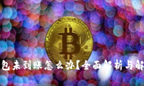 小狐钱包未到账怎么办？全面解析与解决方案