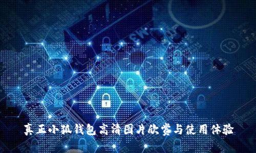 真正小狐钱包高清图片欣赏与使用体验